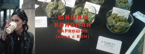 гашик Богородск