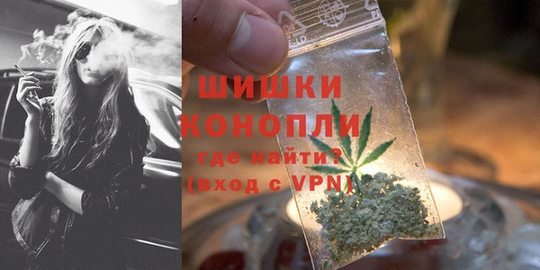 молекула духа Белоозёрский