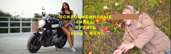 метадон Богородицк