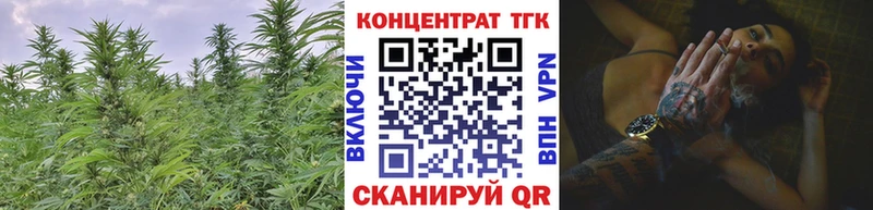Купить где  Шацк  Дистиллят ТГК THC oil 